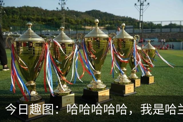 今日趣图：哈哈哈哈哈，我是哈兰德，进世界杯8强啦！