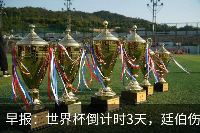 早报：世界杯倒计时3天，廷伯伤缺