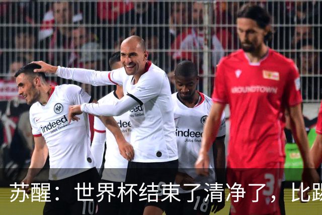 苏醒：世界杯结束了清净了，比踢到一半就淘汰的那种清净好
