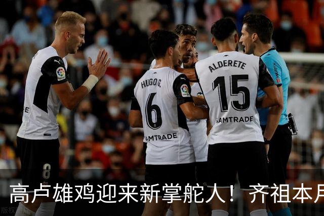 高卢雄鸡迎来新掌舵人！齐祖本月签约，带队征战欧洲杯与世界杯