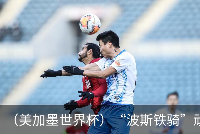（美加墨世界杯）“波斯铁骑”顽强两连平 伊朗队期待更进一步