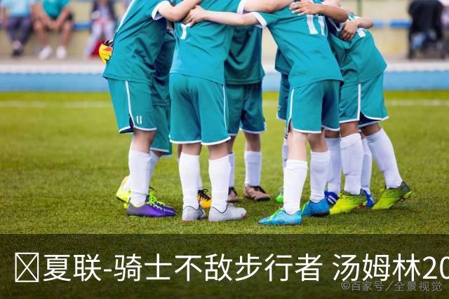 🏀夏联-骑士不敌步行者 汤姆林20+6 托马斯20分 马斯特16+11